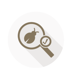 Eksamineret tester kursus