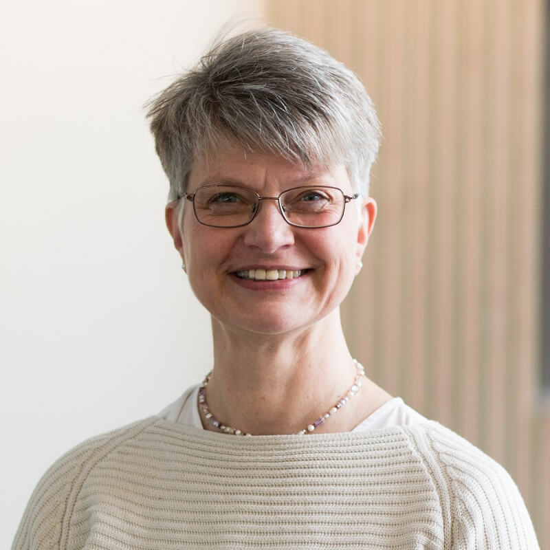 Helene Schmidt, Konsulent i TestHuset