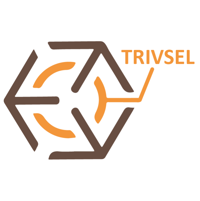 Trivsel - Værdi i TestHuset