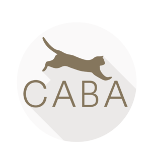 Certified Agile Business Analyst